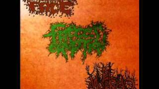 El Muermo - Maimed And Mutilated (Mortician cover)