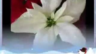 Romantic Strings - Unchained Melody