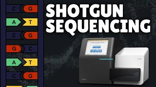 Shotgun Sequencing: From Principles to Practical Applications | Molecular Biology