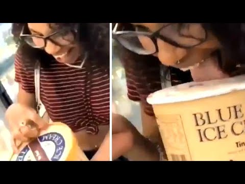 Youtube Video Youtube Video
