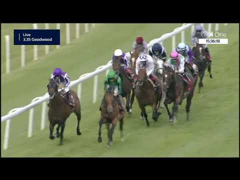 Sussex Stakes - Gruppe 1