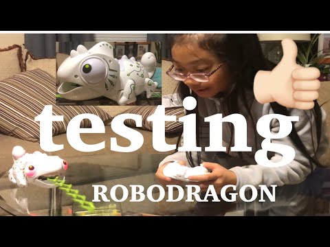 Testing RoboDragon remote controlled chameleon toy
