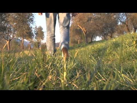 Quale amico in cristo abbiamo