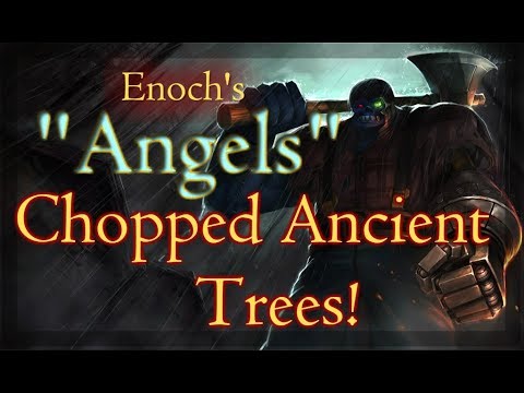 Enoch's "angels" chopped down the Ancient Giant Trees!