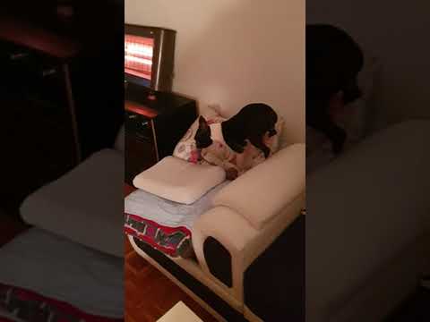 Paketic za Rokia i Reu