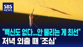 "백신도 없다…안 물리는 게 최선" 저녁 외출 때 '조심' / SBS