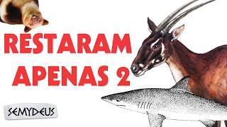Animais que (Quase) não Existem
