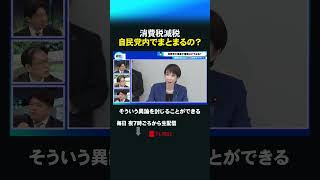 消費税減税 自民党内でまとまるの？ #shorts #衆院選  #衆議院 #選挙 #消費税減税 #自民党 #高市総理