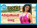 Aduguthundi Song Don Seenu Movie Songs Ravi Teja Shriya Saran Anjana Sukhani