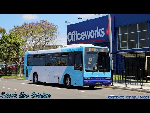 Dion's Bus Service m/o 8873 Mercedes Benz O400/Austral Denning "Starliner"