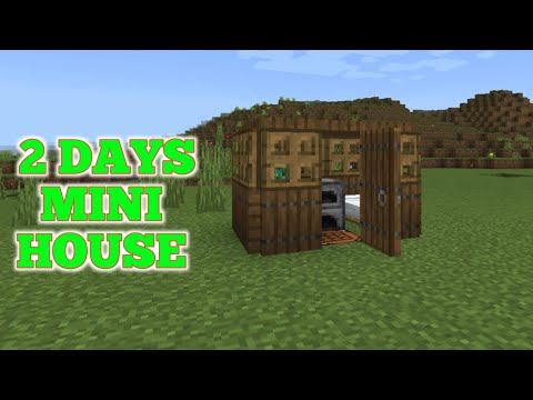 Insane Speed Build: 2 Day Mini House in Minecraft