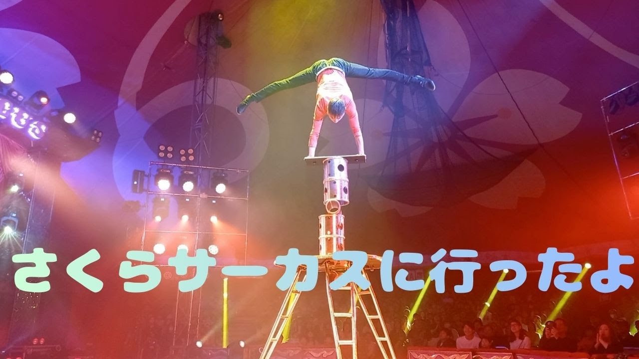 さくらサーカスに行ったよ②【I went to Sakura Circus②】
