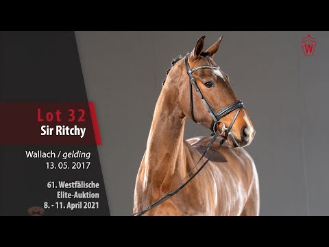 61. Westfälische Elite-Auktion Lot 32 Sir Ritchy Wallach v. Sir Heinrich - Lanciano