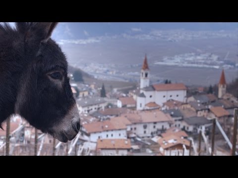 "Aspettando Leopoldo (Waiting for Leopoldo)" - Trailer - EN