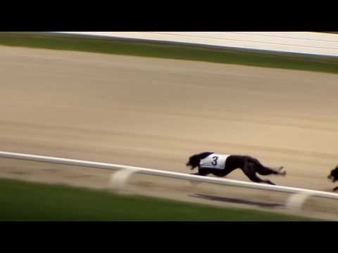 2017 STAR SPORTS DERBY - ROUND 1 HEAT 18 - T3 DOROTAS WILDCAT