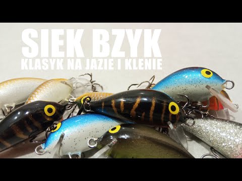 Siek Bzyk - a review of a classic wobbler for chub and ide