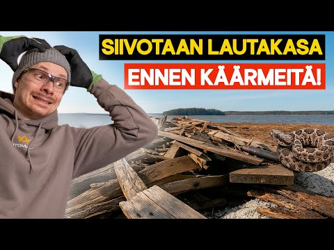 SIIVOTAAN KÄÄRMEIDEN KESÄPESÄ - Ennen ku ne herää horroksesta🐍