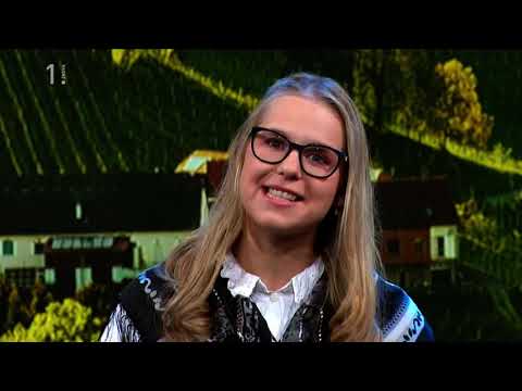 Srce mi je ukradel Muzikant - Ansambel Namig