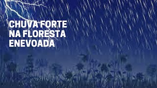 Som de Chuva para Dormir - Chuva Relaxante na Floresta Enevoada sem Troves