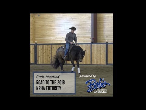 Gabe Hutchins' Road to the 2018 NRHA Futurity Month 1