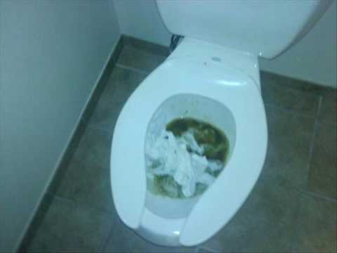 toilet bowl massacre - lasagna
