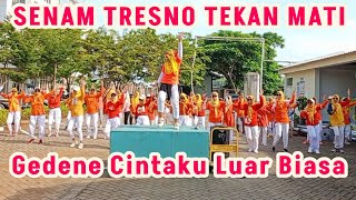 Download lagu SENAM TRESNO TEKAN MATI // SENAM GEDENE CINTAKU LUAR BIASA // TIKTOK VIRAL // SENAM KREASI mp3