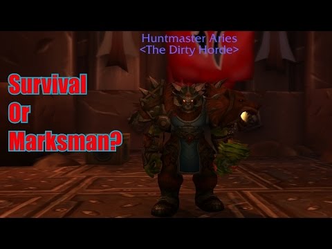 Survival Hunter Or Marksman Hunter? Legion PvP (110)
