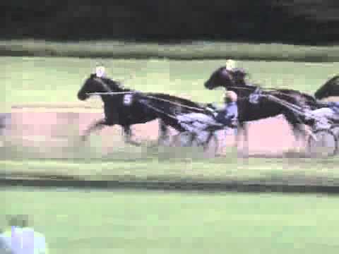 Derby "C" Nederland 2012 -Clint W Boko