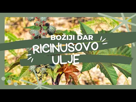 Blagodati Ricinusovog Ulja Za Zdravlje i Ljepotu 🌿