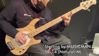 Video thumbnail for 【Ikebe B-Sound Check】Sterling by MUSICMAN SB-14 (Natural/M)【試奏動画】 by Ikebe Channel｜池部楽器店