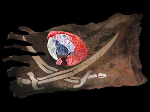 Dieca De Specialist in Papegaaien