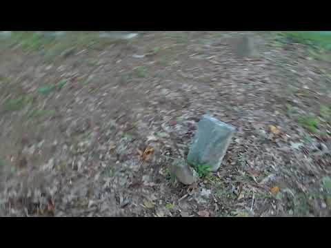 Bolt Family Cemetery - Gray Court, SC
