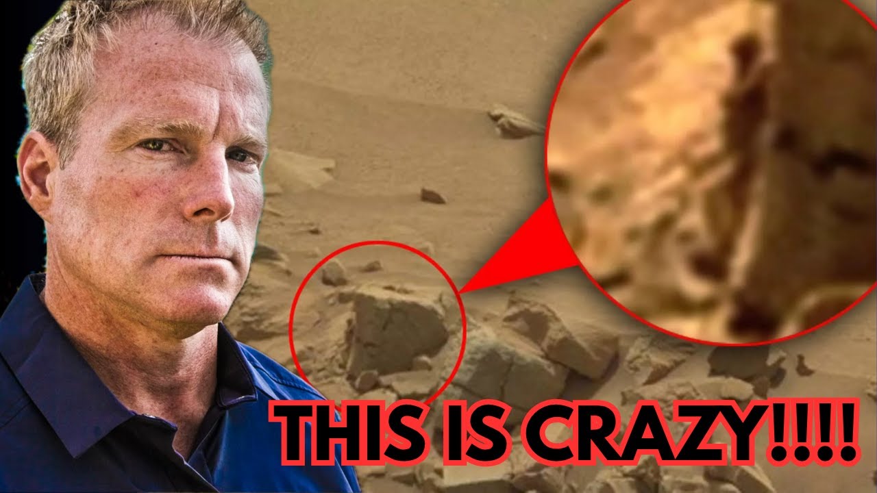 YouTube Thumbnail Downloader FULL HQ IMAGE