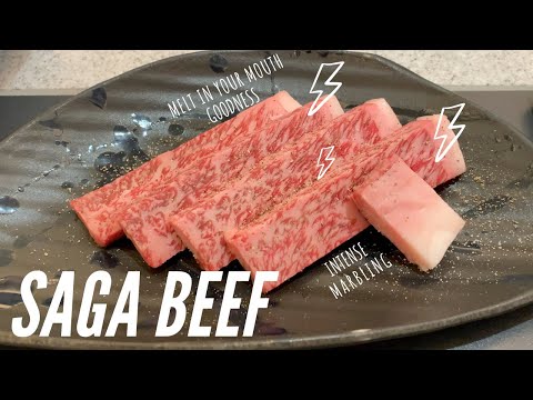 Authentic SAGA BEEF at Japan (Kira Honten)
