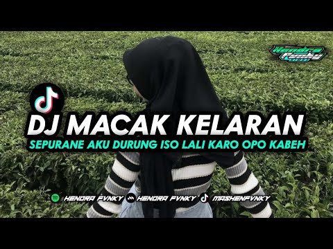 DJ MACAK KELARAN || sepurane aku durung iso lali karo opo kabeh YANG DI TIKTOK HENDRA FVNKY