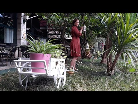 Vitrina e librit/ Vargje të bukura poezie nga shkrimtarja Adelina Mamaqi. Cfarë teme ka prekur ajo?