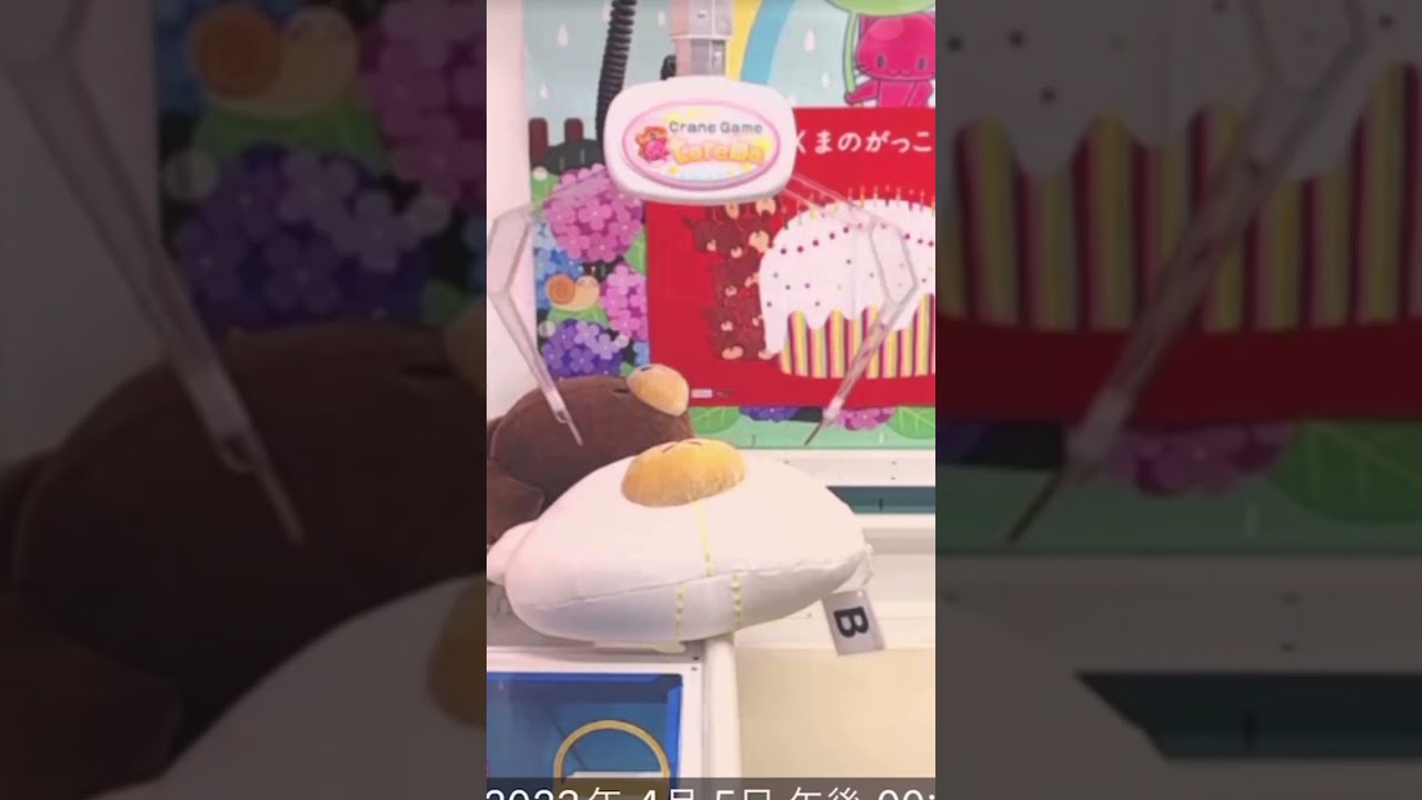 爪を引っ掛ける場所が重要なのがわかる動画！