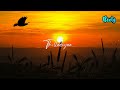 En Jeevane Songs Status Whatsapp Status New