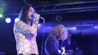 Bad Snakes - CHEAP 'N' NASTY