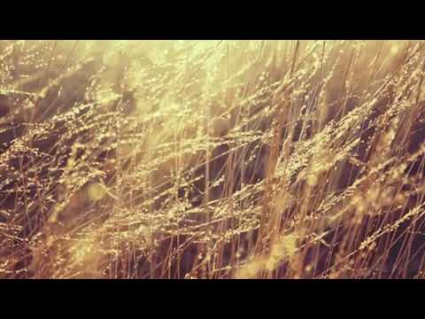 ANDRÉ LUIZ ANICETO ( OFICIAL ) HINO 347 - ARRANJO MUSICAL JONAS BENICHIO