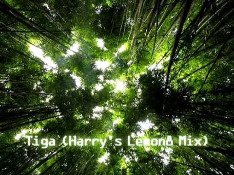Harry Lemon - Tiga (Harry's Lemon8 Mix)