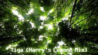 Harry Lemon - Tiga (Harry's Lemon8 Mix)