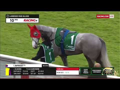 Regal Bloodstock - Twin Perfection Dominates at Sandown