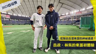 [分享] 從飯店直達東蛋的神祕通道？！岳政華、