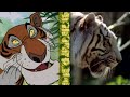 The Jungle Book DisneyPedia Junglemania