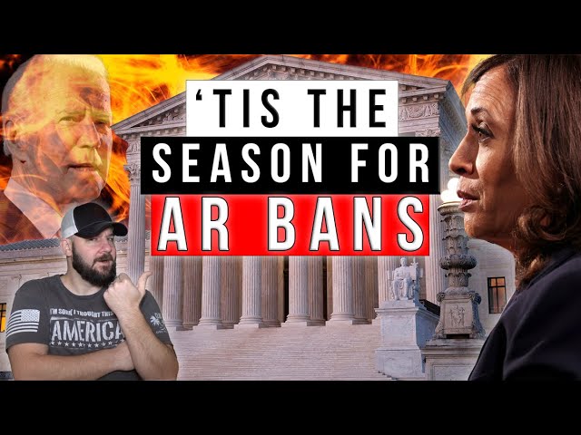 Add another State AR Ban proposal to the pile… this is getting ridiculous…