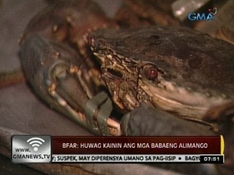 Mga recipe cookie para sa pagbaba ng timbang sa bahay Tulad ng pagkawala ng timbang Xiuming ng exo
