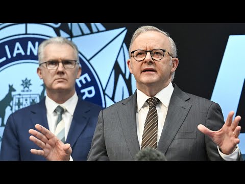 ‘Political expediency’: Labor blasted for putting votes ‘ahead of national security’