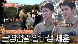 Download lagu [Coffee Friends] No customer goes to Sehun, the sales king👀 The sales strategy of Oh Sehun, the p... mp3