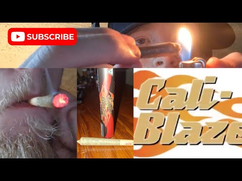 Cali Blaze Indoor Flower Pre Roll Review#feed #cannabiseducation #reccomended #foryou